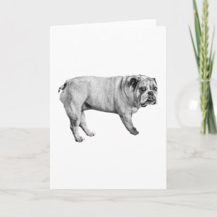 Gentle Look Bulldog Card