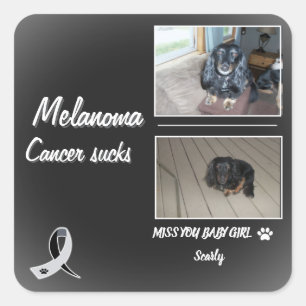 Gentle Melanoma Pet Memory Design Square Sticker