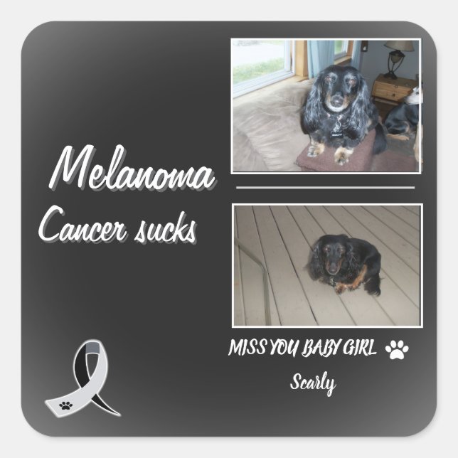 Gentle Melanoma Pet Memory Design Square Sticker (Front)