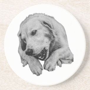 Gentle Paws Around The Table Coaster