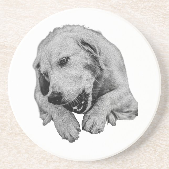 Gentle Paws Around The Table Coaster (Front)