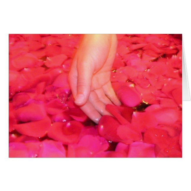 Gentle petals cards (Front Horizontal)