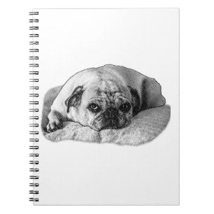 Gentle Reflections, Fresh Start Notebook