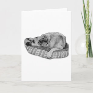 Gentle Season, Calm Dog Message Card