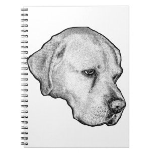 Gentle shoulder rise notebook