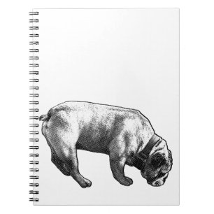 Gentle Sleuth, Dotted Page Notebook