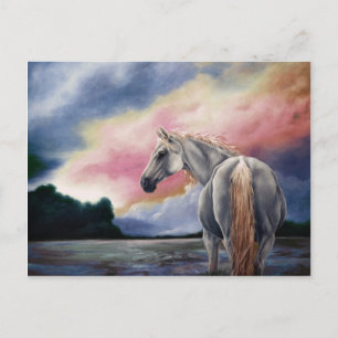 Gentle Spirit Sunrise Postcard