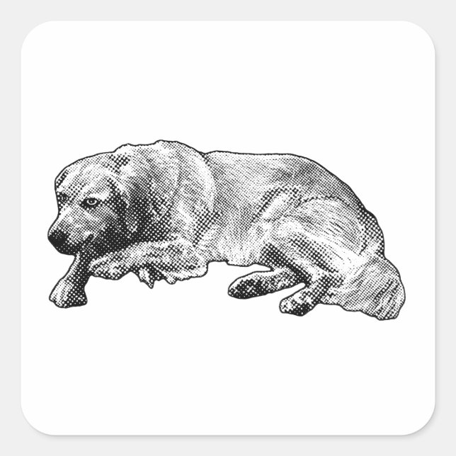 Gentle Spotted Pal Shares Warmth Square Sticker (Front)