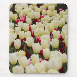 Gentle Spring Flowers Mouse Pad