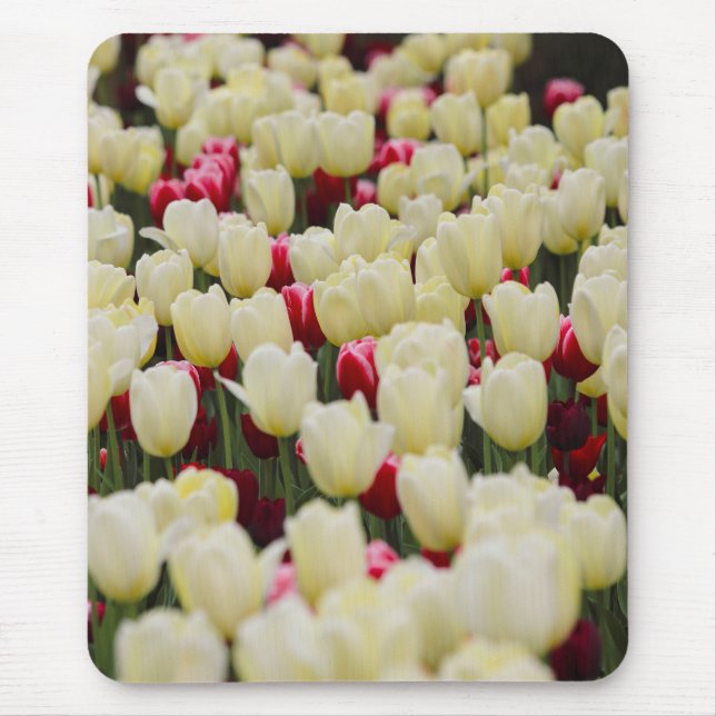 Gentle Spring Flowers Mouse Pad (Front)