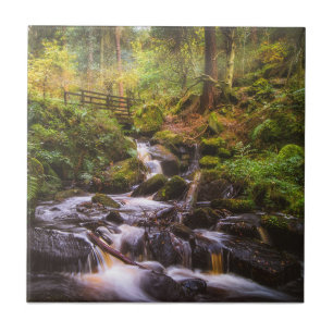 Gentle Waterfall Woodland Brook Ceramic Tile