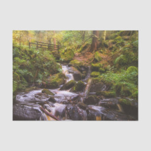 Gentle Waterfall Woodland Brook  Tissue Paper