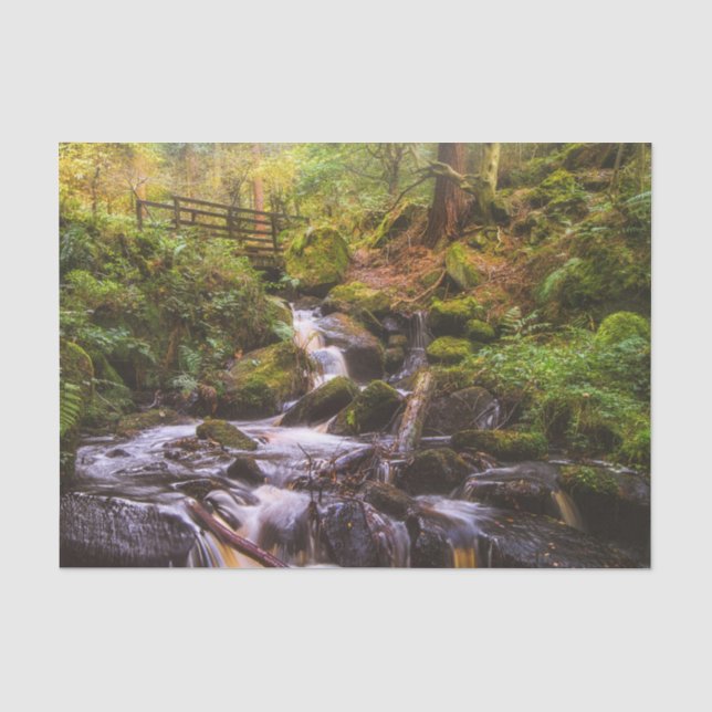 Gentle Waterfall Woodland Brook  Tissue Paper (Front)