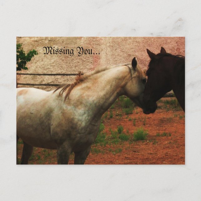 Gentle Whisper... Postcard (Front)