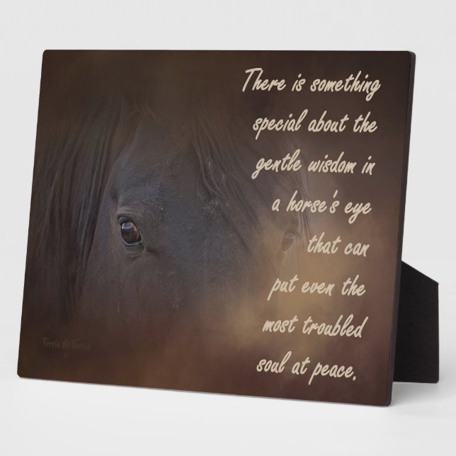 Gentle Wisdom in a Horse's Eye Plaque (Side)
