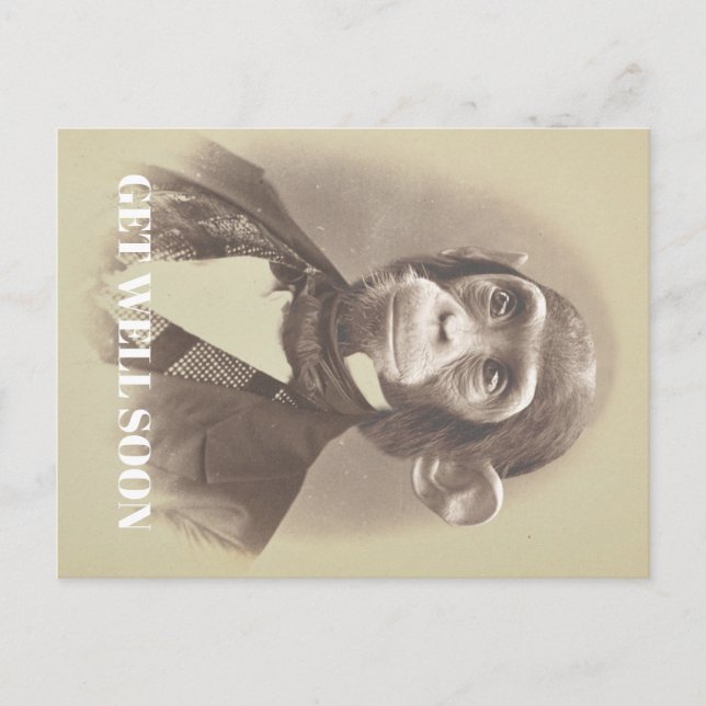 Gentleman Chimpanzee saying "Get Well Soon" Postcard (Front)