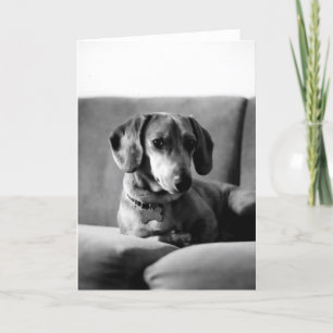 Gentleman Daschund Card