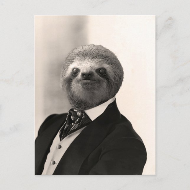 Gentleman Sloth #4 Postcard (Front)