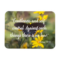 Gentleness and self-control