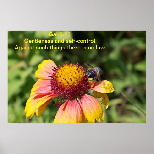 Gentleness and self-control poster (Front)