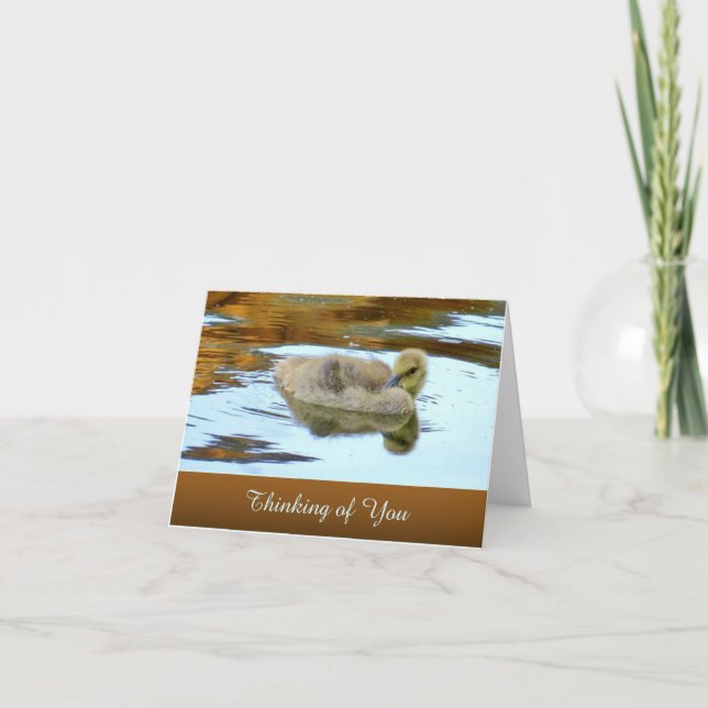 Gently Gosling  - Thinking of You - Blank Card (Front)