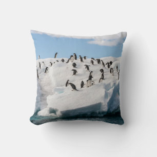 Gentoo Penguin Antarctica Iceberg Playtime Cushion