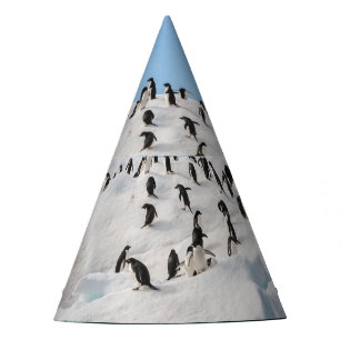 Gentoo Penguin Antarctica Iceberg Playtime Party Hat