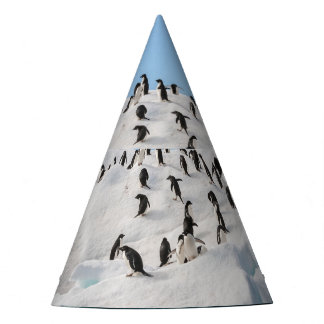 Gentoo Penguin Antarctica Iceberg Playtime Party Hat