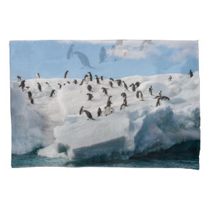 Gentoo Penguin Antarctica Iceberg Playtime Pillowcase