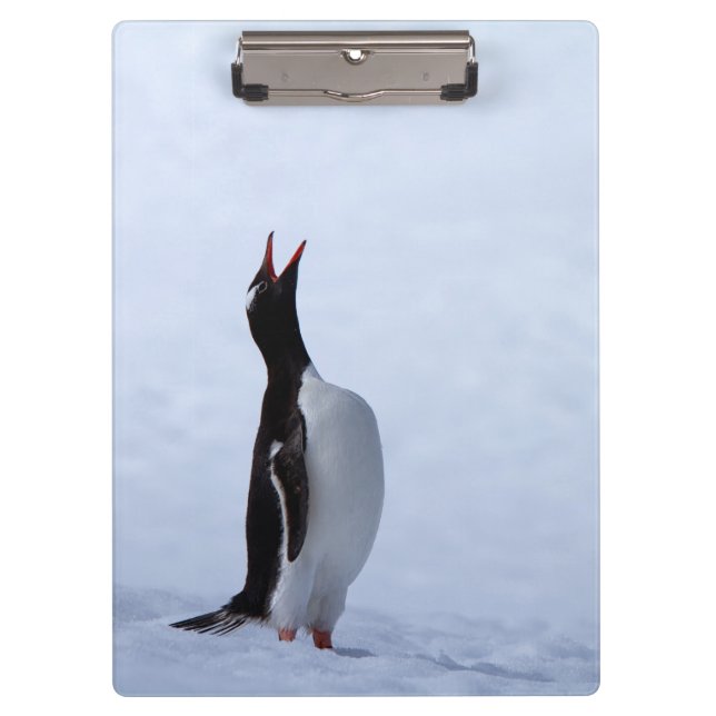Gentoo penguin clipboard (Front)