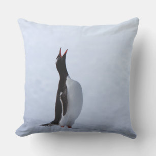 Gentoo penguin cushion