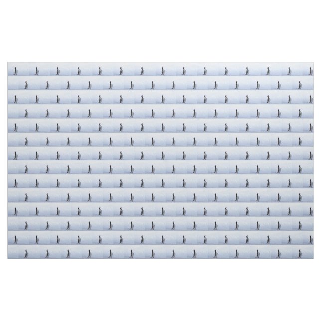Gentoo penguin fabric (Yard)