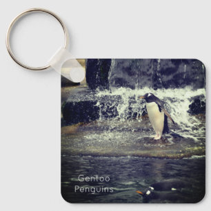 Gentoo Penguin & Friends Edinburgh Zoo Scotland Key Ring