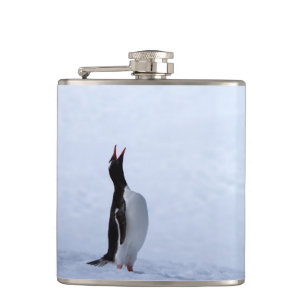 Gentoo penguin hip flask