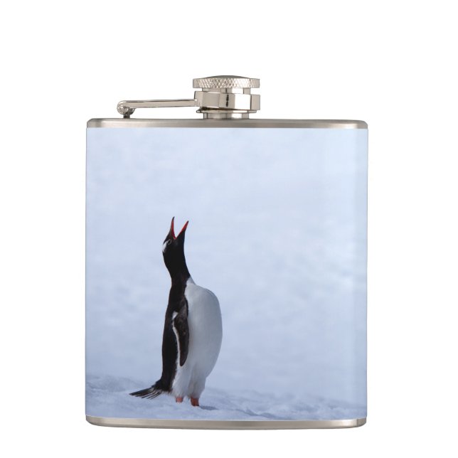 Gentoo penguin hip flask (Front)