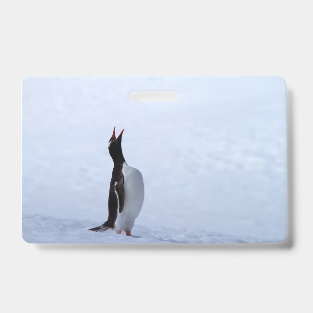 Gentoo penguin ID badge (Front)