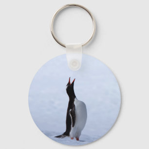 Gentoo penguin key ring