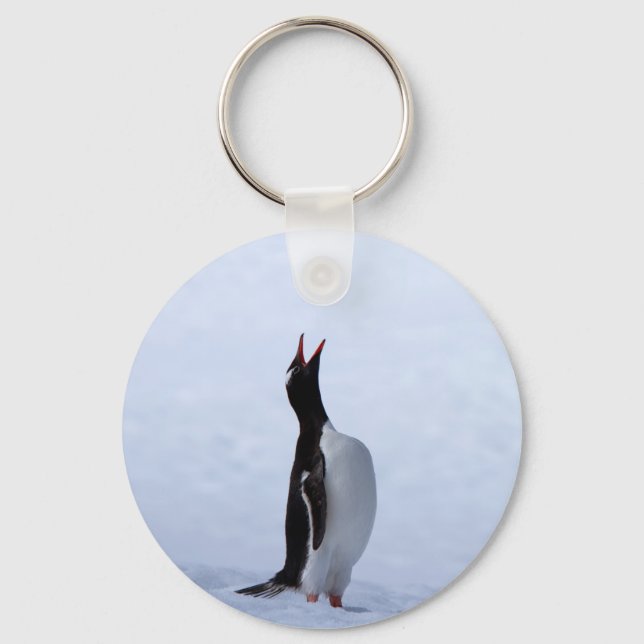 Gentoo penguin key ring (Front)