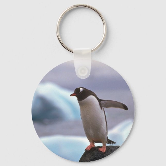 Gentoo Penguin Key Ring (Front)