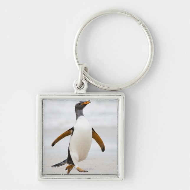Gentoo Penguin Key Ring (Front)