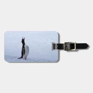 Gentoo penguin luggage tag