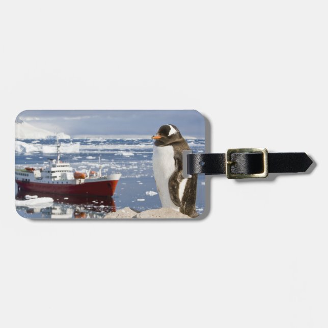 Gentoo Penguin Luggage Tag (Front Horizontal)