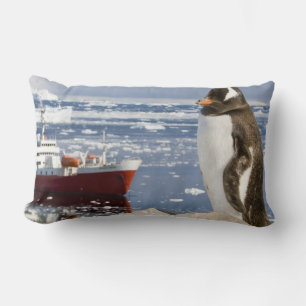 Gentoo Penguin Lumbar Cushion