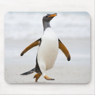 Gentoo Penguin Mouse Pad