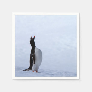 Gentoo penguin napkin