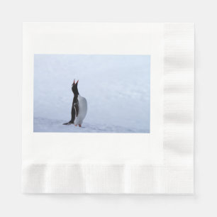 Gentoo penguin napkin