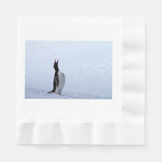 Gentoo penguin napkin (Front)