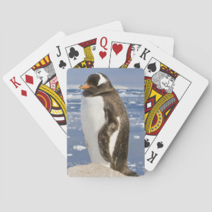 Gentoo Penguin Playing Cards