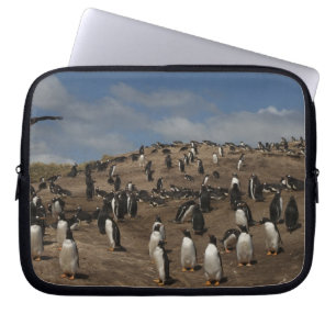 Gentoo Penguin (Pygoscelis papua) colony on West Laptop Sleeve