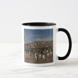 Gentoo Penguin (Pygoscelis papua) colony on West Mug